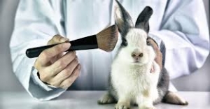 cruelty free makeup artist worcestershire