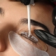 lash lift services worcester